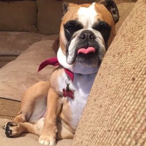 Meet your Posher, Kristen